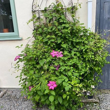 Rural Cosy Retreat For Two Near Port Isaac Apartment Delabole Exterior foto